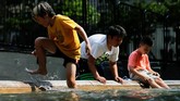 Diperkirakan kota-kota seperti New York, Mississippi Valley, Philadelphia, Chicago Boston, Baltimore dan Washington akan merasakan suhu sepanas 37 derajat Celcius selama musim panas tahun ini. (REUTERS/Eduardo Munoz)