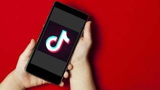 Tiktok Siap Tampung Ide Jokowi soal Sosialiasi Pancasila