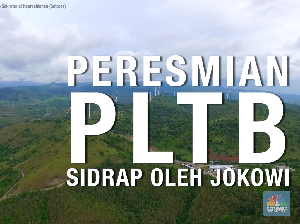 Serasa di Eropa, Ini Pemandangan Kebun Angin RI di Sidrap