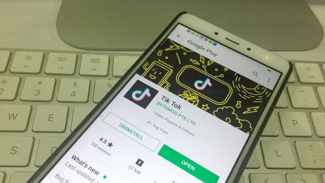 Cara Download TikTok MP4 Tanpa Watermark di SnapTik, Mudah dan Gratis! -  Banten Raya