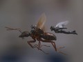 'The Wasp' Tak Ingin Punya Film Solo