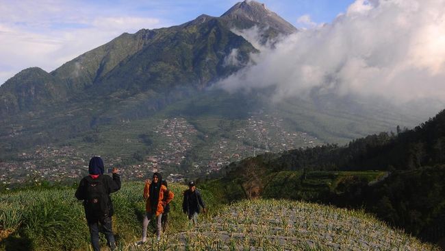 Download 8400 Koleksi Gambar Gunung Pangrango Keren Gratis