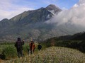 PVMBG Sebut Erupsi Gunung Merapi Bersifat Efusif
