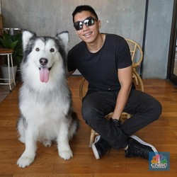 Anjing Ini Jadi Bintang Instagram Berduit Ratusan Juta Rupiah