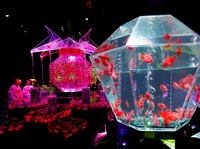 Warna Warni Seni Akuarium dengan Ribuan Ikan Hias