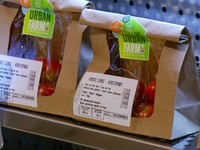 Toko di Belgia Jual Buah & Sayur dari Kebun di Atas Atap