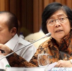 KLHK: Roadmap Penanganan Limbah Freeport Capai 60%