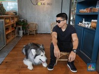 Ini Perjalanan 'Karir' Anjing Berduit Ratusan Juta Rupiah