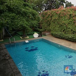 Salon Mewah Khusus Anjing Terima 50 Klien Tiap Harinya