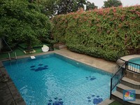 Salon Mewah Khusus Anjing Terima 50 Klien Tiap Harinya