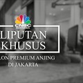 Video: Yuk, Intip Salon Mewah Khusus Anjing!