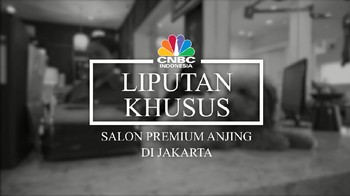 Video: Yuk, Intip Salon Mewah Khusus Anjing!