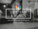 Video: Yuk, Intip Salon Mewah Khusus Anjing!