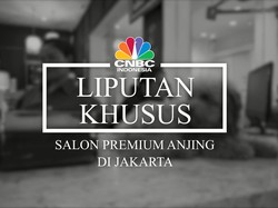 Video: Yuk, Intip Salon Mewah Khusus Anjing!