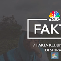 Video: 7 Fakta Kebun Angin Raksasa RI di Sidrap