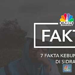 Video: 7 Fakta Kebun Angin Raksasa RI di Sidrap