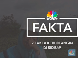 Video: 7 Fakta Kebun Angin Raksasa RI di Sidrap