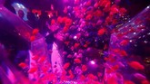Art Aquarium 2018 buka mulai 6 Juli hingga 24 September pukul 11.00 hingga 23.30 waktu setempat. Penyelenggara membanderol tiket masuk 1.000 yen (sekitar Rp130 ribu) untuk pengunjung 13 tahun ke atas, dan 600 yen (sekira Rp78 ribu) bagi pengunjung berusia 4-12 tahun. (REUTERS/Kim Kyung-Hoon)