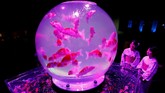 Seluruh karya seni yang dipamerkan di Art Aquarium 2018 merupakan karya seniman Jepang Hidetomo Kimura. Bagi wisatawan yang tertarik, bisa mengunjungi lokasi pameran di Nihonbashi Mitsui Hall 2-2-1 Nihonbashi Muromachi Chuo-ku, Tokyo. (REUTERS/Kim Kyung-Hoon)