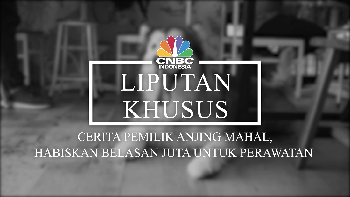 Berkenalan dengan Spike, Anjing Berpenghasilan Rp 200 Juta
