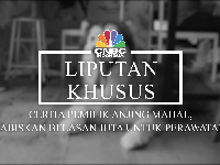 Berkenalan dengan Spike, Anjing Berpenghasilan Rp 200 Juta