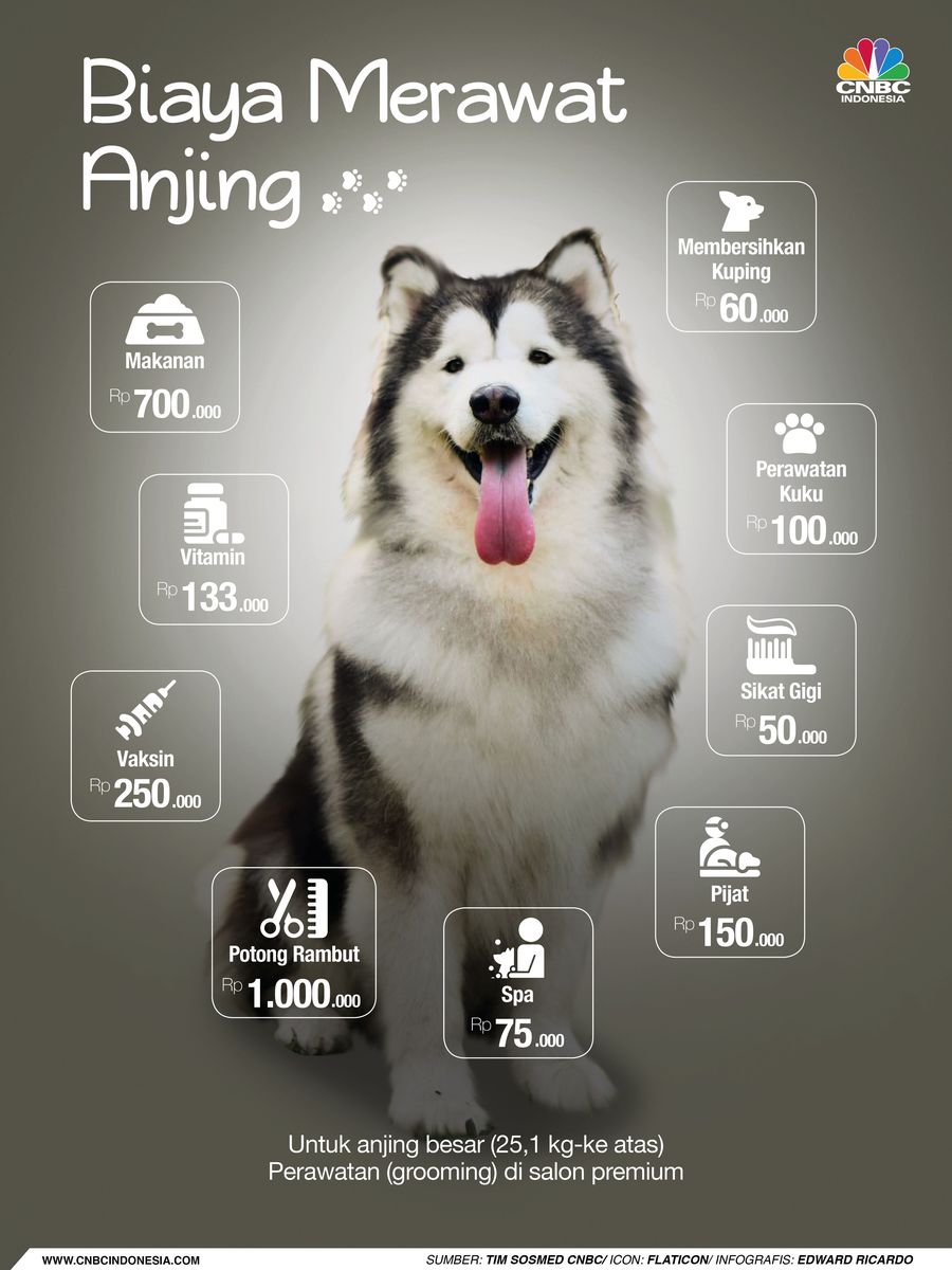 Biaya yang diperlukan untuk merawat anjing.