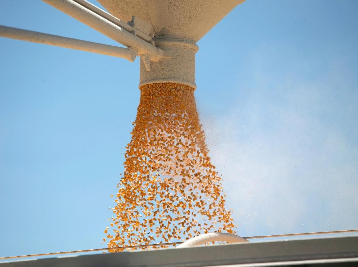 Dampak Perang Dagang Trump: Petani AS Merasakan Kerugian Besar