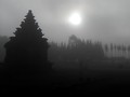 VIDEO: Cuaca Ekstrem Landa Dieng, Petani Kentang Merugi