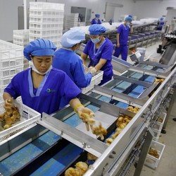 Perang Dagang Lemahkan Pertumbuhan Manufaktur China
