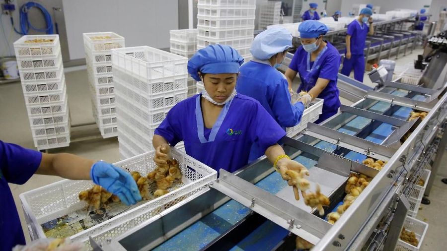 China melaporkan pertumbuhan manufakturnya melambat di bulan Oktober akibat kembali meningkatnya perselisihan dagang dengan Amerika Serikat (AS).