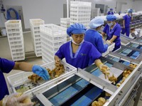 Perang Dagang Lemahkan Pertumbuhan Manufaktur China
