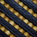 5 Makanan yang Sebaiknya Tak Dikonsumsi Bersama Telur