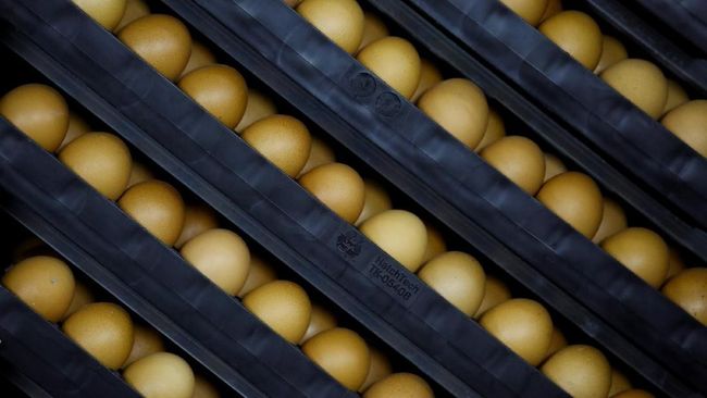 5 Makanan yang Sebaiknya Tak Dikonsumsi Bersama Telur