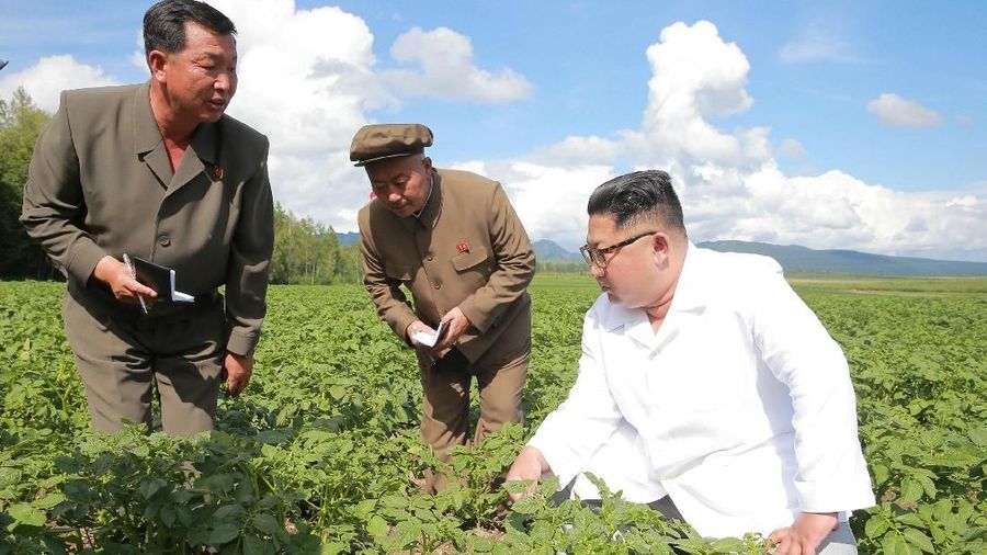 Korea Utara telah memperingatkan bahwa negaranya akan menghadapi kekurangan pangan sekitar 1,4 juta ton pada tahun 2019.