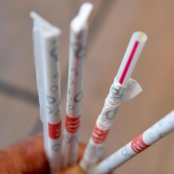 Pengusaha Makanan: Pengganti Sedotan Plastik Lebih Mahal