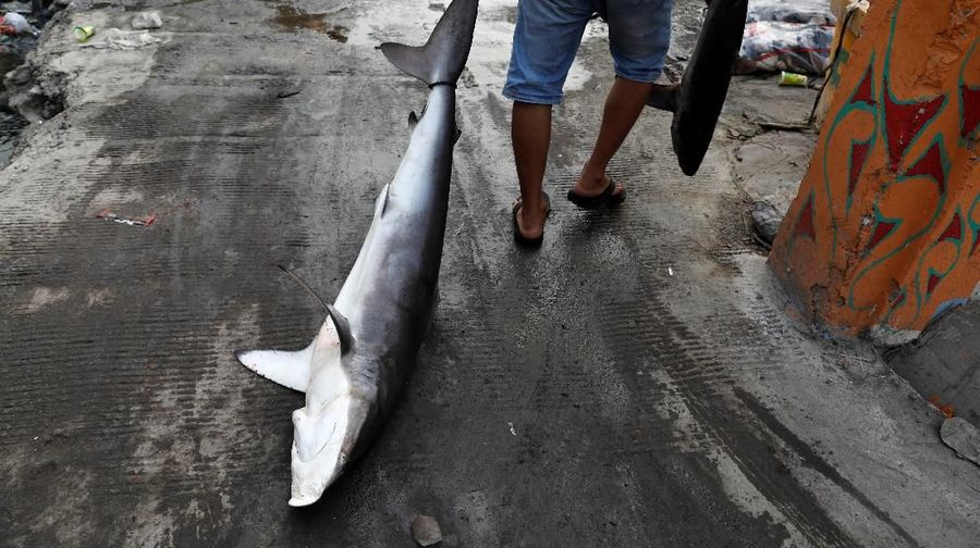Alhasil, neraca perdagangan di Maret 2019 mengalami surplus sebesar US$ 540 juta.