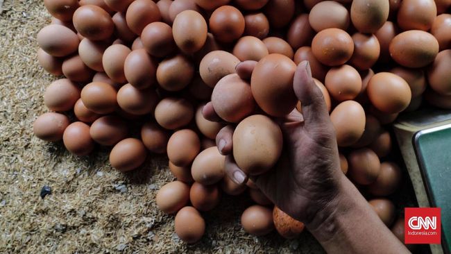 Kementan Guyur 8 Ton Telur Ayam ke Tujuh Pasar
