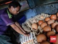 Harga Cabai dan Telur Ayam Kembali Terus Mendaki