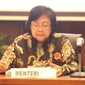 Perlu Aturan Baru untuk Tuntaskan Masalah Lingkungan Freeport