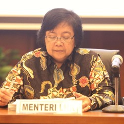 Perlu Aturan Baru untuk Tuntaskan Masalah Lingkungan Freeport
