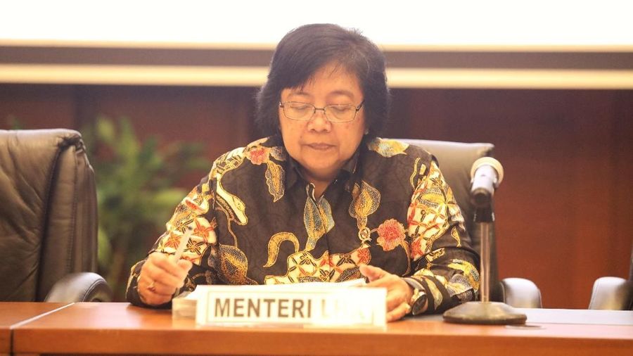 Masalah lingkungan Freeport terjadi karena aturan rezim lalu, perlu aturan baru untuk menyelesaikannya.