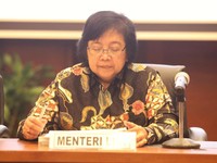 Perlu Aturan Baru untuk Tuntaskan Masalah Lingkungan Freeport