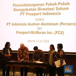 Akhir Tahun RI Bakal Kuasai 51% Saham Freeport