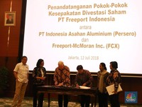 Jonan: Freeport Diperpanjang Jika Selesai Urusan Lingkungan