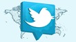 Twitter Ubah Kebijakan, Para Selebtwit Kehilangan 2% Follower