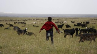 FOTO: Hidup Mengembara di Belantara Turki
