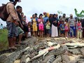 Warga Bantai 292 Buaya, Amuk Massa Tak Bisa Dibendung Aparat