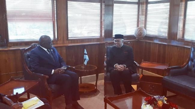 Potensi Kerja Sama RI-Botswana, Penghasil Berlian di Afrika