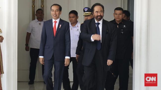 Disindir, NasDem Sebut Jokowi-Paloh seperti Adik-Kakak