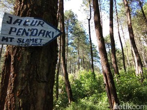Tinggalkan Kawan Hipotermia di Gunung Slamet, Rombongan Pendaki Kena Blacklist